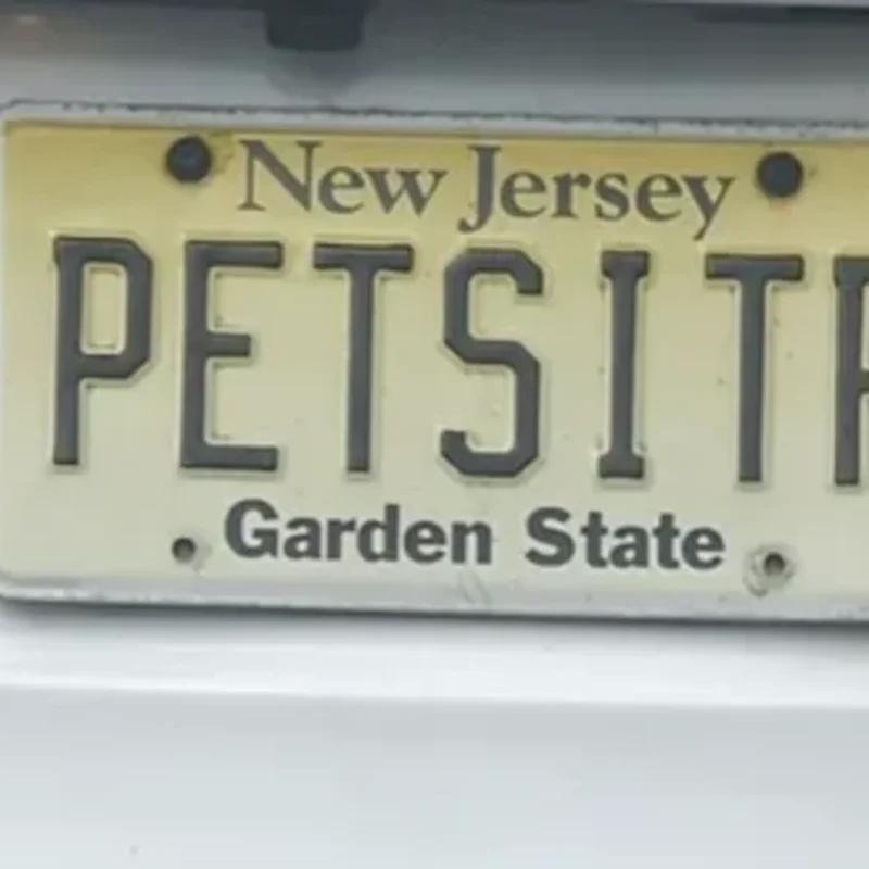 PETSITR — Pet Sitter, Kia