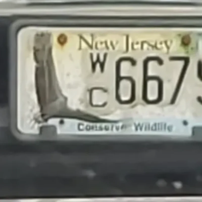 WC 6675 — Conserve Wildlife, Ford