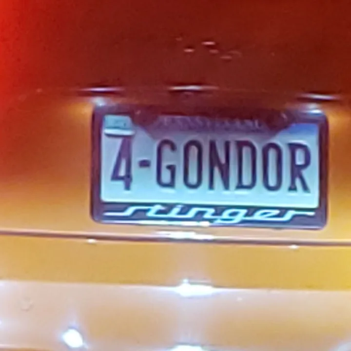 rear view of a car with license plate (2019-10-08)