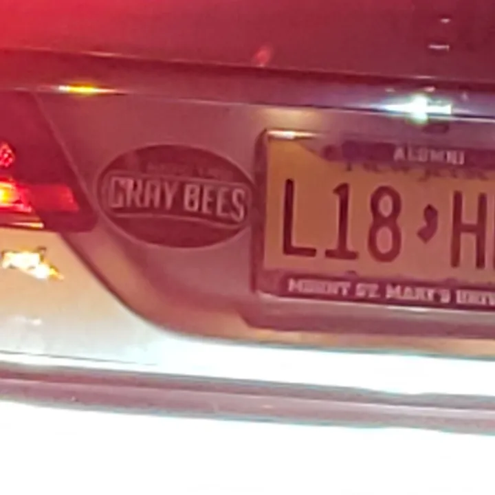 car rear with license plate and stickers (2019-11-25)