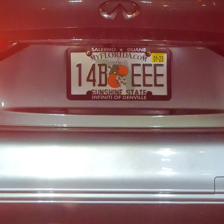 car with florida license plate (2022-11-18)