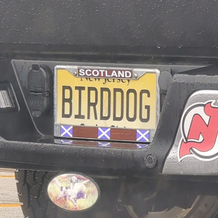 license plate in rain (2023-04-29)