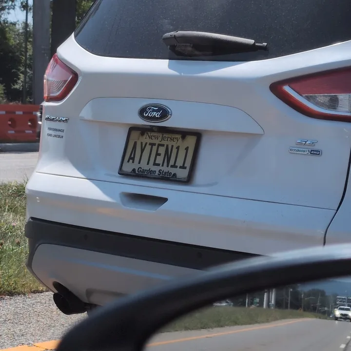 white ford suv (2025-08-09)