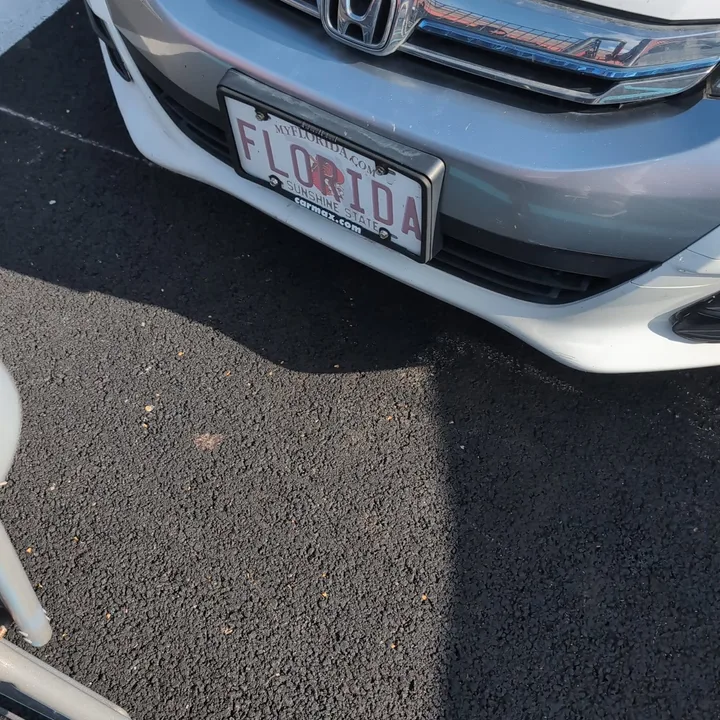 car with florida plate (2026-04-14)